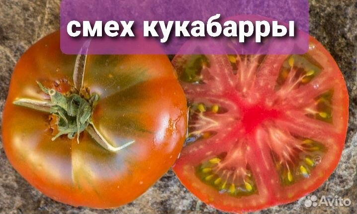 Продам семена томатов коллекционные