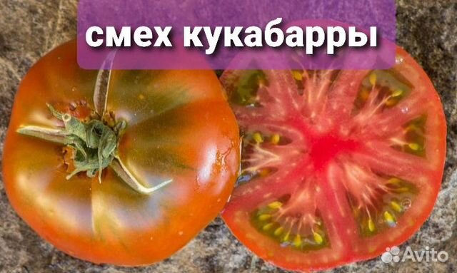 Продам семена томатов коллекционные