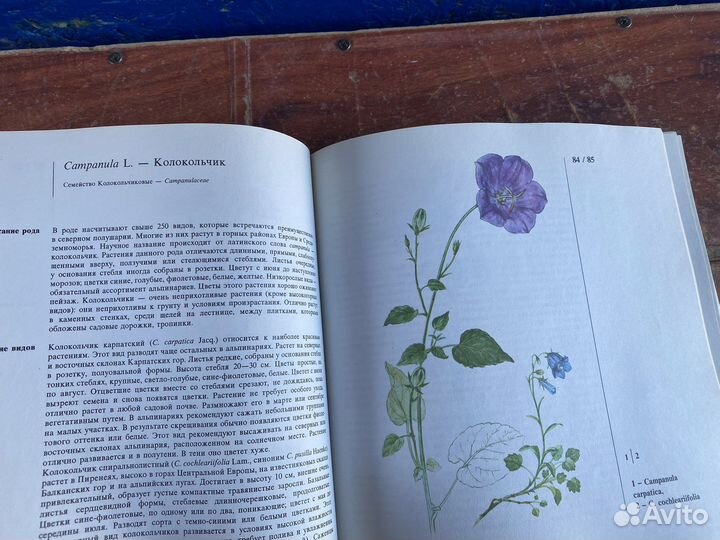 Альпинарий в вашем саду книга 1986 год