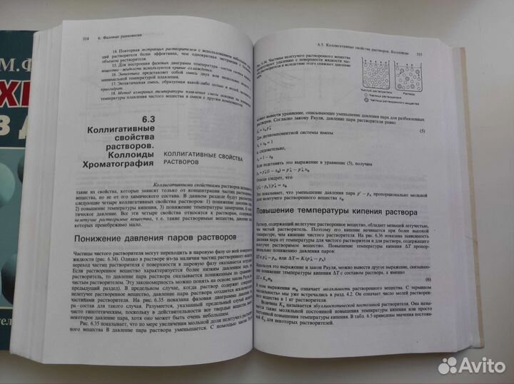 Фримантл, Химия в действии, в 2 томах