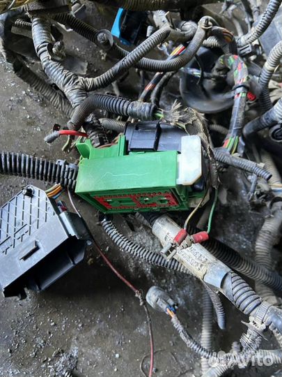 Проводка двс Ford Focus 2 (DB) 2008-2011г DB