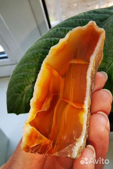 Сердолик очень живописный полировочка Якутия