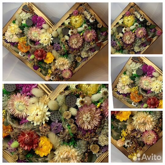 Панно с сухоцветами и стабилизированными цветами