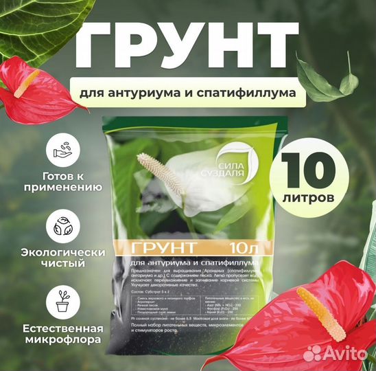 Кашпо горшок для цветов, грунт земля для цветов