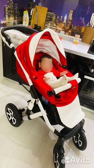 Коляска adamex 3 в 1