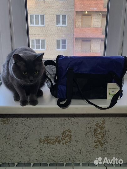 Переноска для кошек и собак