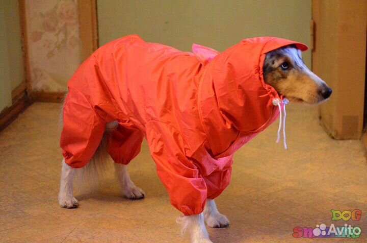 Комбинезон дождевик для собак