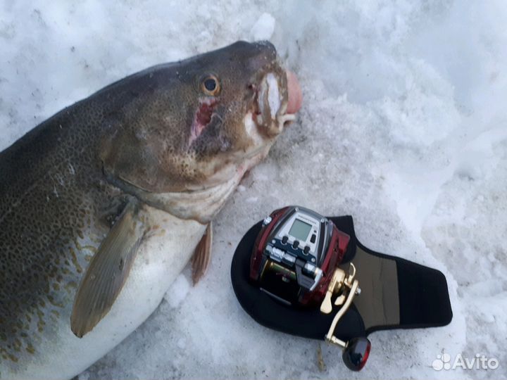 Морская электрокатушка на палтуса 800MJ