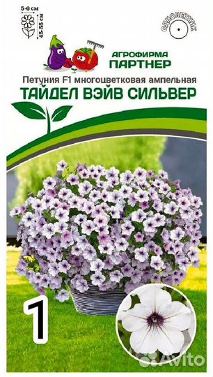 Вегетативные черенки петуньи