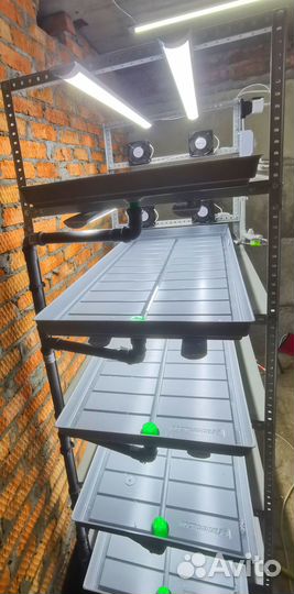 Установка для выращивания (стеллаж)