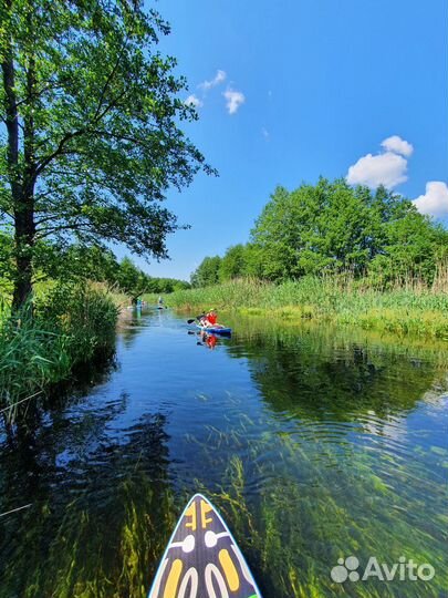 Прогулки на SUP-Board'ах