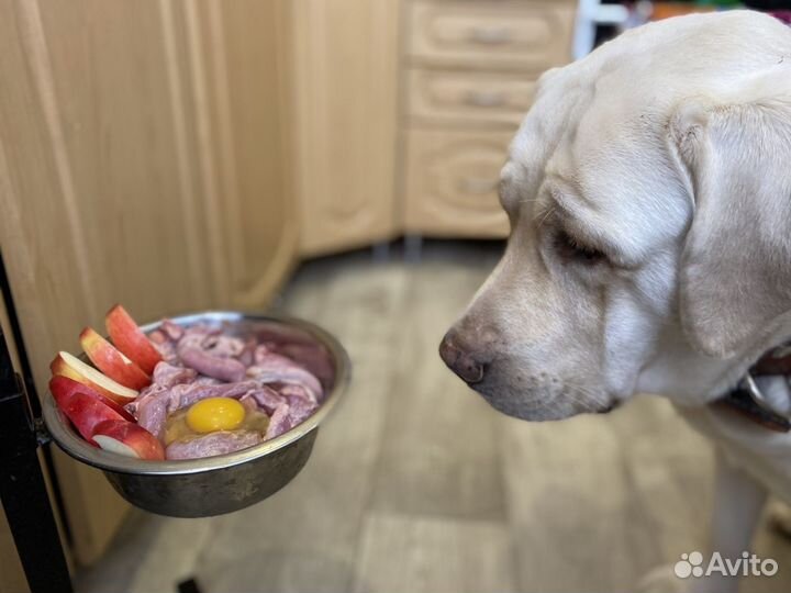 Мясо для собак