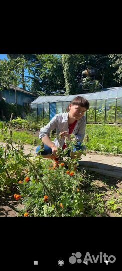 Сиделка и компаньон