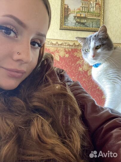 Передержка животных и птиц на время отпуска