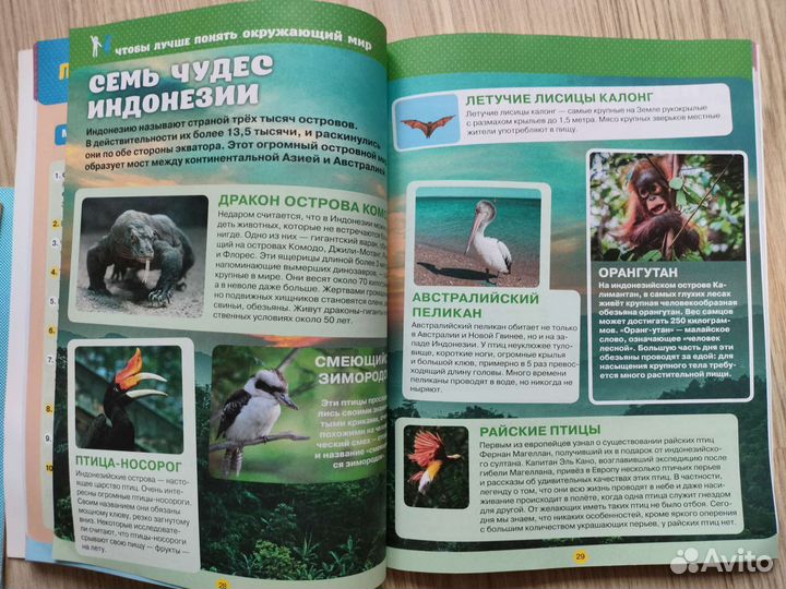 Детские книжки, прописи нач. школа.Цена за все