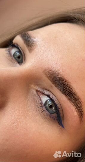 Обучение на бровиста