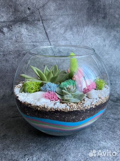 Флорариум суккуленты мох подарок