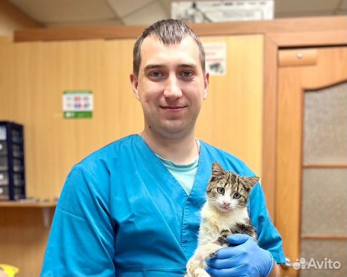 Врач - ветеринар частной практики. Выезд на дом