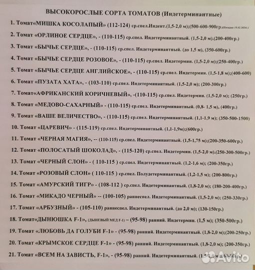 Рассада томатов