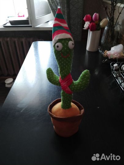 Кактус повторялка