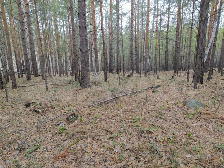 Участок 10 сот. (ИЖС)