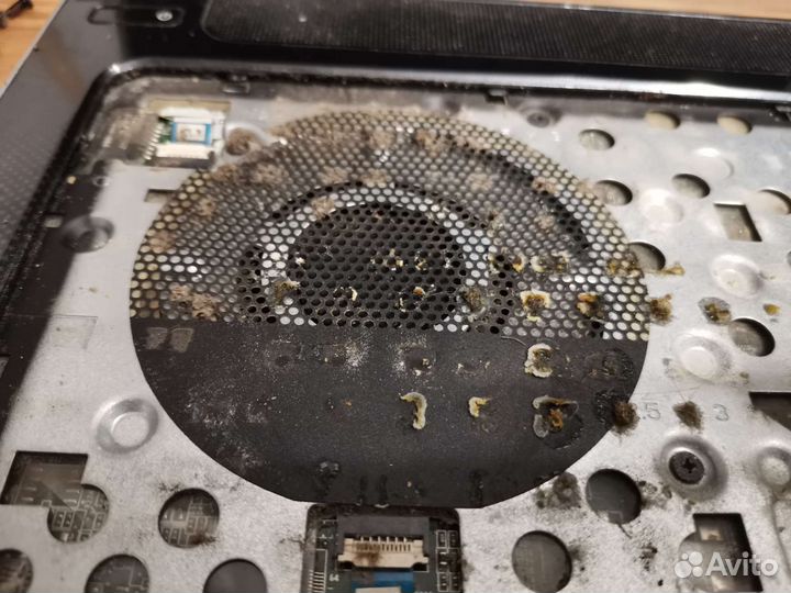 Чистка ноутбуков и пк, замена термопасты