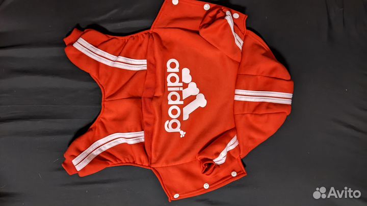 Одежда для собак мелких пород