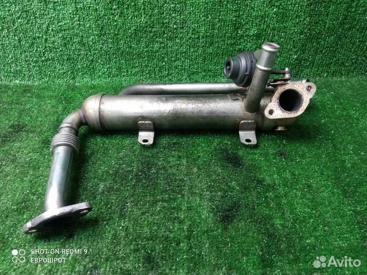 Радиатор системы EGR Volkswagen Tiguan (2007-2011)