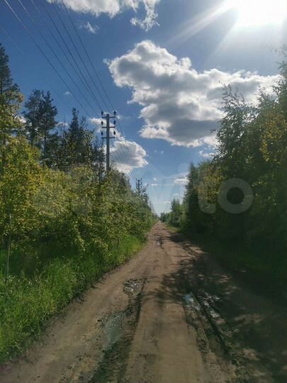Участок 4 сот. (СНТ, ДНП)