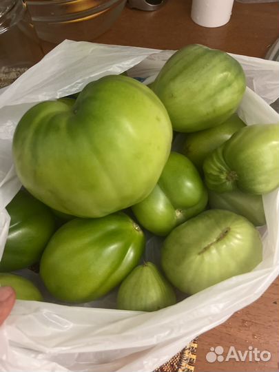 Помидоры красные и зеленые