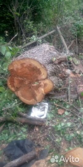 Фруктовые колотые дрова,спилы