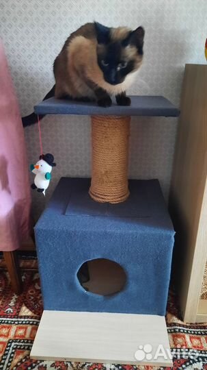Домик для кошки с когтеточкой