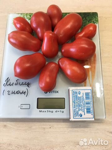 Семена томатов (Гномы)