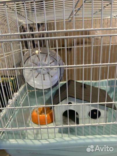 Клетка для хомяка