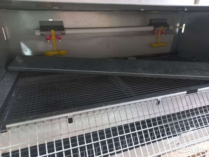 Клетка брудер для цыплят