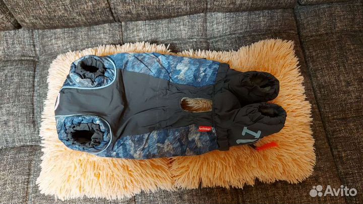 Комбинезон для таксы