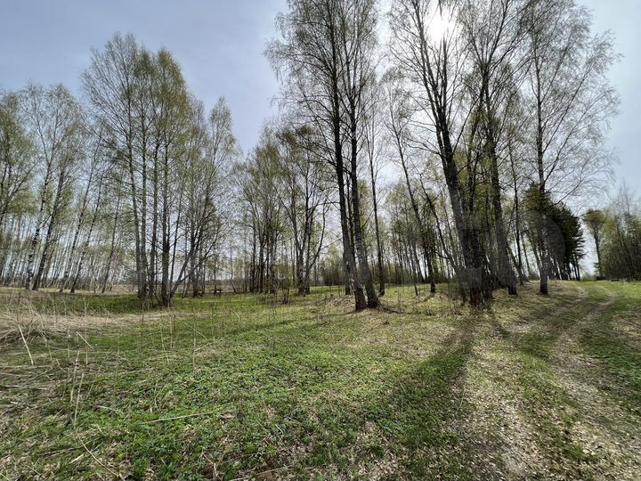 Участок 30 сот. (ИЖС)