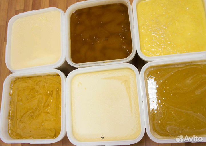 2024 Мед натуральный из Алтая оптом