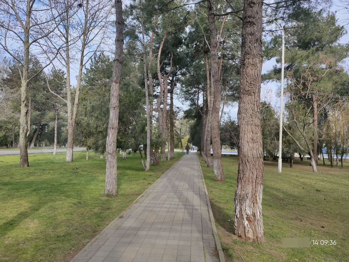 Квартира-студия, 34 м², 4/7 эт.