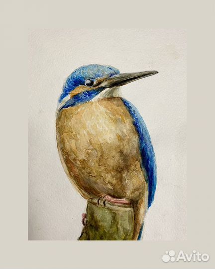 Акварельный рисунок «Птица Зимородок»