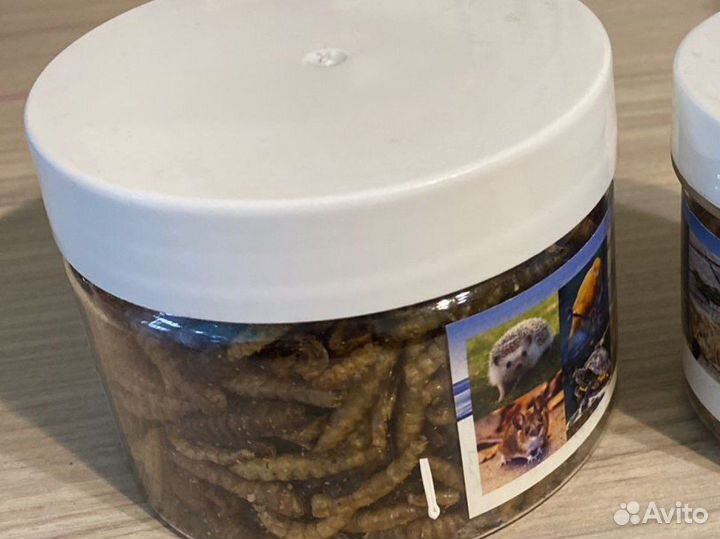 Корм - микс для насекомоядных