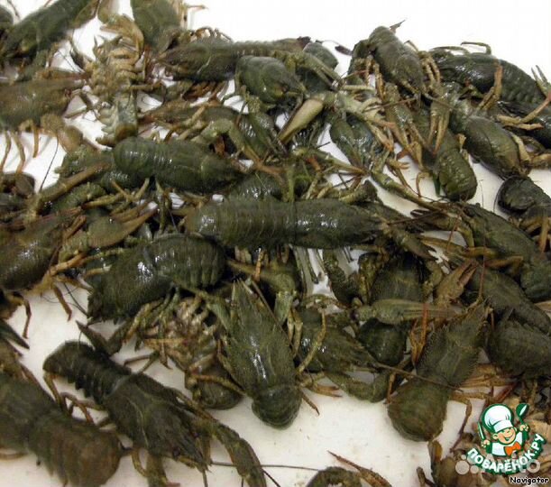 Живые, вареные раки с доставкой