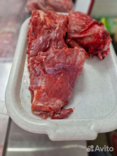 Продам мясо говядина