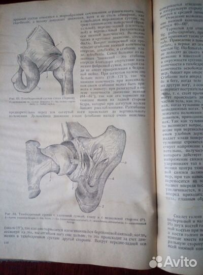 Анатомический справочник. Ретро. 1940 г