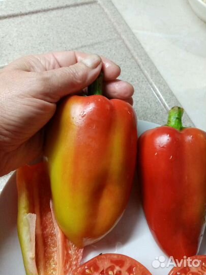 Семена коллекционных сортов перца