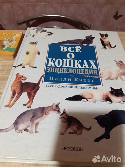 Книга журналы все о кошках
