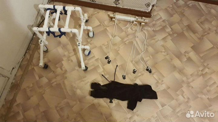 Ходунки для животных