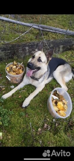 Требуется кабель для вязки