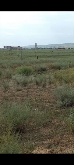 Участок 8 сот. (ИЖС)