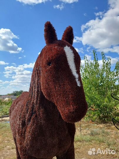 Топиарные фигуры